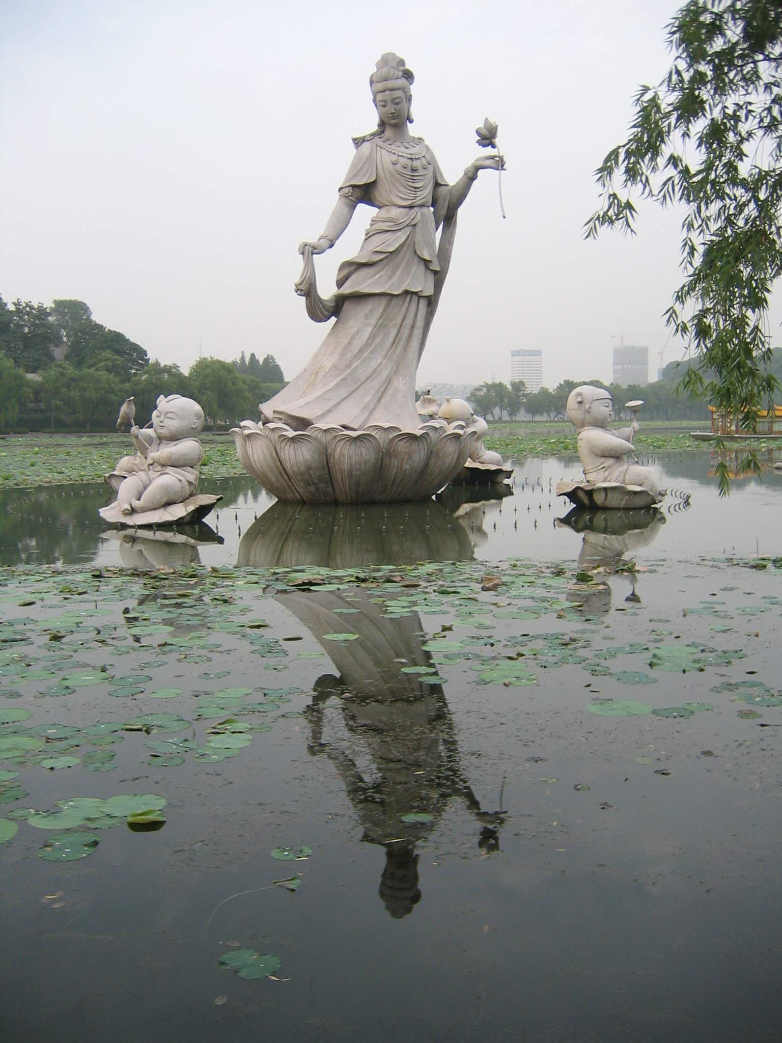 El reflejo de Buda